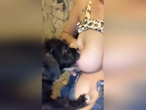 big puppy eating beastiality