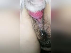 Unique local resources for zoophilia and animal sex videos