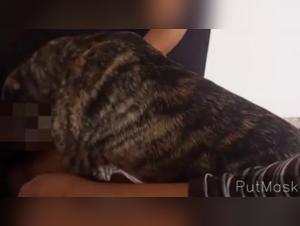 Intense bestiality with a dog