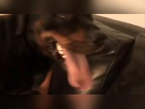 Ich und mein Hund: Tiersex