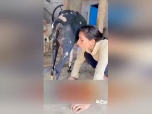 Teen Zoophilia: Unbelievable Goat Sex - Hardcore Porn Videos
