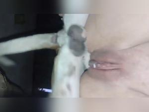 Brazilian woman and her dog in a bestiality scene