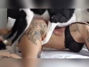 Delving into the Intensity of Beastiality Films