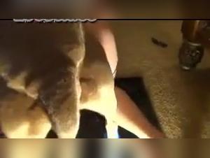 Woman Alone at Home with Her Dog: A Bestiality Sex Video With Intense Action