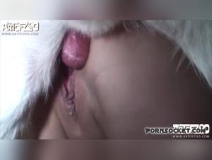 Tales of Forbidden Wolves: a video of extreme bestiality