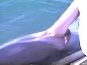 Bestial encounter with a dolphin