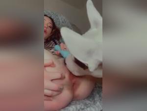 Video of intense and exciting zoophilia