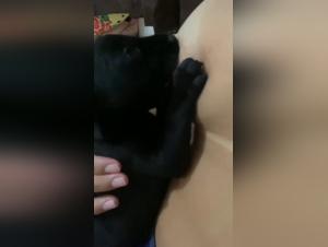 Bestial Experience: Sex with Dog and Breast Milk
