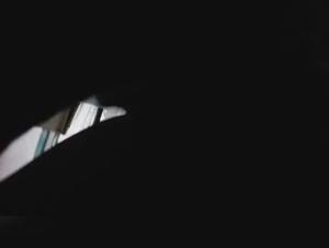 An extreme bestiality experience