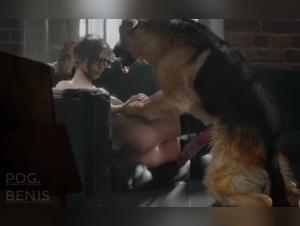 Video of Sex with a Dog