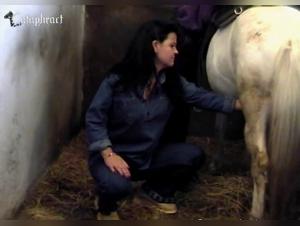 Bestiality Videos - Amateur Teenage Girl and Horse