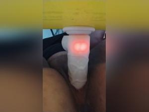 Video Bestiality Zoophilia: Forbidden Intimacy