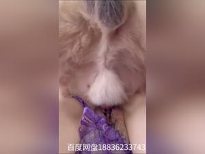 TickZoo's Dark Side: Exposed Zoophilia