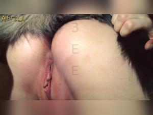 Bestiality: a woman and her four-legged friend