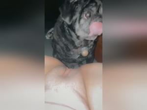 A beastly encounter: A woman and her dog