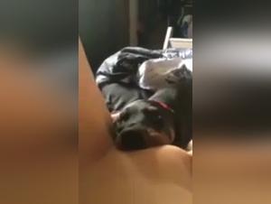 Sex videos with dogs
