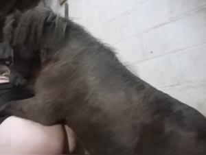 Bestial encounter: woman and horse