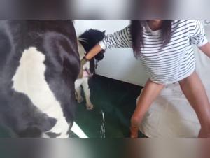 Zoophilia video with a horse