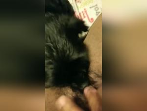 Submissive and obedient dog in a zoophilia scene