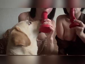 Exploration de Fantasmes Bestiaux : Dogfuck au Forefront