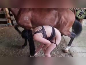 dog fuck amateur