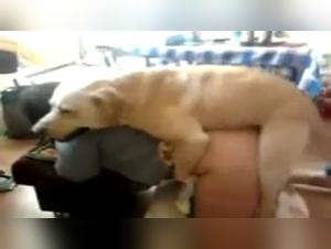 Mature woman and dog: a unique bestiality sex experience