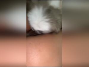 Little Dog and Young Girl: An Exciting Sexual Encounter on Video