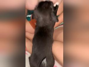 zoophilia amateur videos