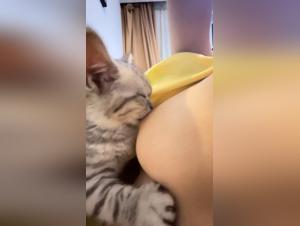 Unveiling Primal Instincts