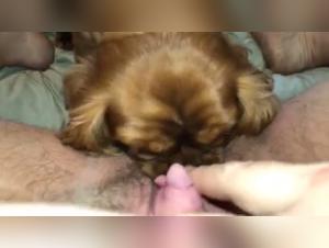 Unvergessliche Tierbegegnungen