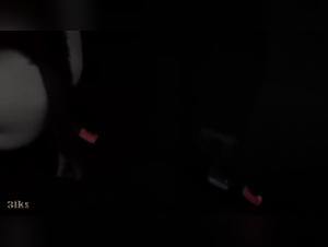 Forbidden meeting: Woman and dog