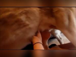 Mary Jane and her canine friend in shocking bestiality scene