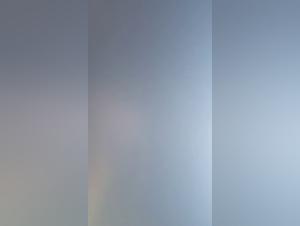 Female Dog Bestiality