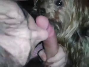 Bestiality: Woman and dog