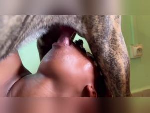 Bestiality sex video: a hot encounter with a dog