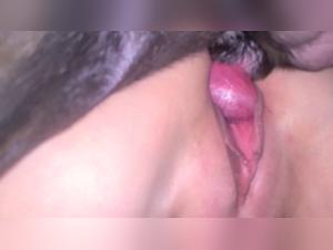 baise canine sauvage et intense