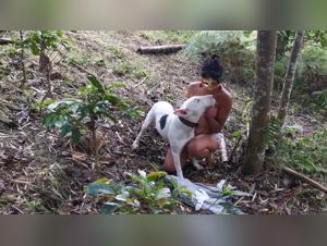 Lina's wild encounter with her dog, a hot and passionate video porn scene