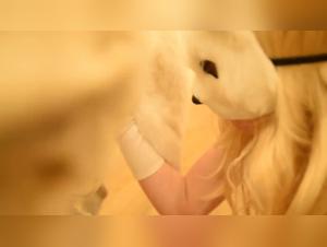 Sexy Filgirl Fucks Dog - Fap Vid HD - Dog Sex & the City