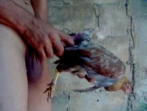 Fisting Anal Chien Salope - XXX Intense