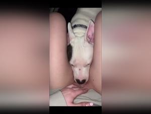 Bestiality: A woman and her dog in a shocking video