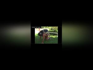 Melodie Bestiale: A Forbidden Encounter