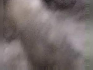 Forbidden Meeting: Woman and Horse