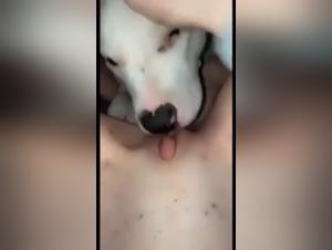 Una experiencia bestial unica: sexo con un perro