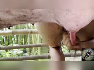 Mia se fait baiser par un cochon