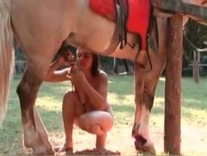 Brazil: Slut Sucking a Horse