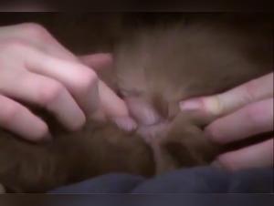 Aurora Bliss in a Sex Scene with a Dog