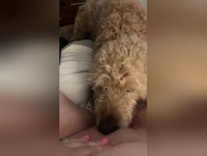 Bestiality sex video: woman and her dog
