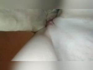 Bestial encounter: a woman and a dog