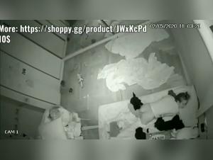 Hidden Bestiality Videos - Discover Extreme Sex Scenes