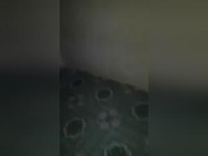 baise chien putain mouillée, zofilia extrême